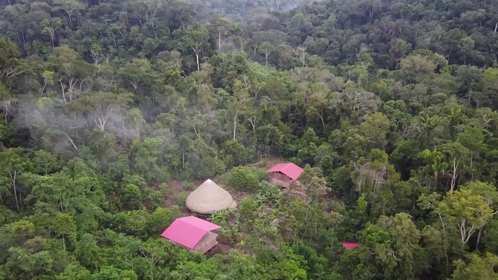 Vue aérienne de la forêt autour de Samsara